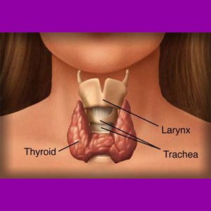 Dr Della Parker_Understanding Subclinical Hypothyroidism